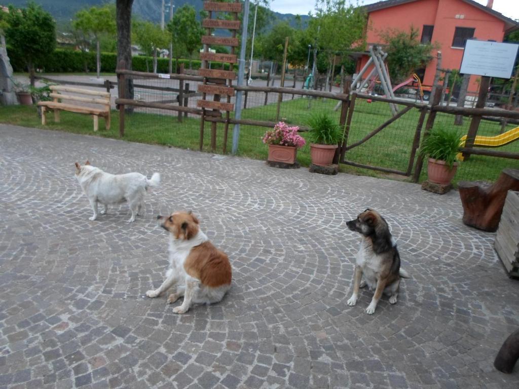 Azienda Agrituristica Pericle Монтелла Экстерьер фото