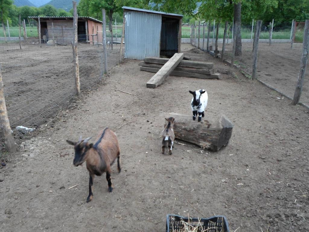 Azienda Agrituristica Pericle Монтелла Экстерьер фото