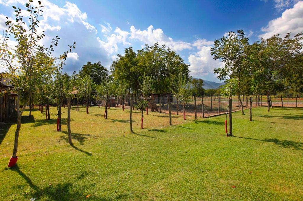 Azienda Agrituristica Pericle Монтелла Экстерьер фото
