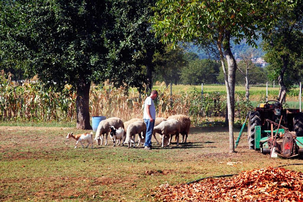 Azienda Agrituristica Pericle Монтелла Экстерьер фото
