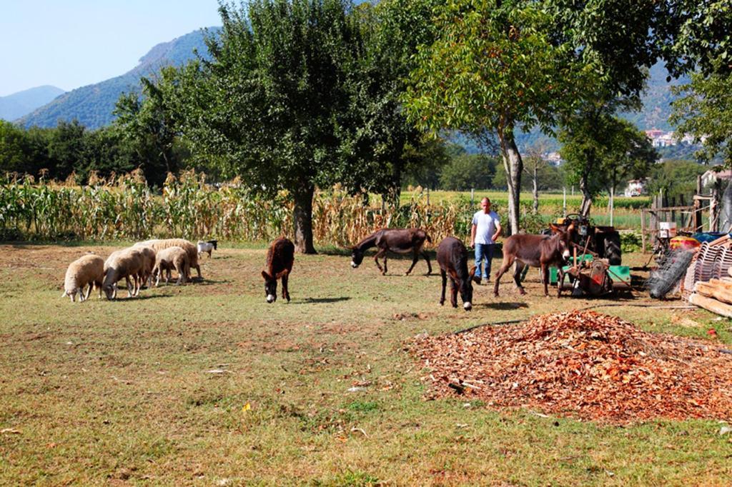 Azienda Agrituristica Pericle Монтелла Экстерьер фото