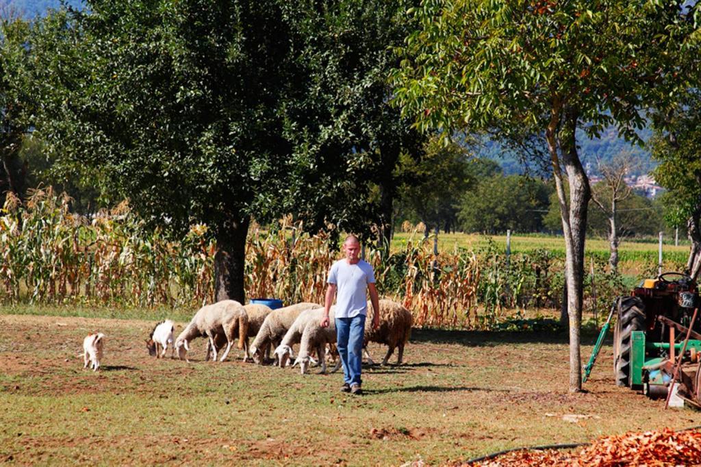 Azienda Agrituristica Pericle Монтелла Экстерьер фото